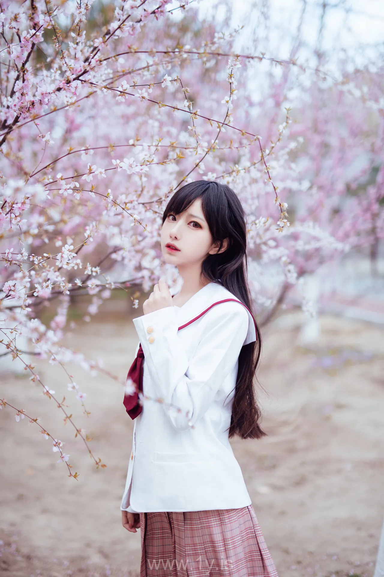 Coser@Shika小鹿鹿 NO.034 Appealing & Beautiful Chinese Hottie 樱花